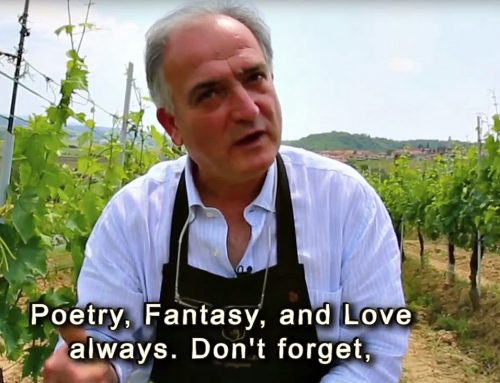 Perillo Tours: A Wine Tasting in Tuscany