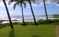 Perillo Tours Hawaii Islands video by Merging Media gives insite into the Explore Hawaii Tour, thumbnail of video is a beautiful view of a perfectly manicured lawn wit palm trees against a back drop of the rolling ocean (video production by Merging Media).