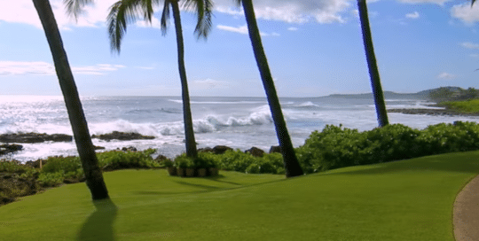 Perillo Tours Hawaii Islands video by Merging Media gives insite into the Explore Hawaii Tour, thumbnail of video is a beautiful view of a perfectly manicured lawn wit palm trees against a back drop of the rolling ocean (video production by Merging Media).
