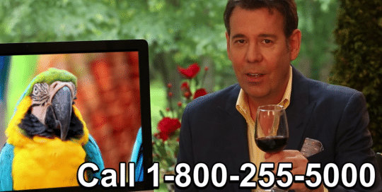 Man (Steve Perillo) wearing a navy sport coat and yellow button up, promoting the Perillo Tours Omnibus Commercial, cheers a glass of red wine to the viewers, words on screen; Call 1-800-255-5000 or Call Your Travel Agent (video production by Merging Media).
