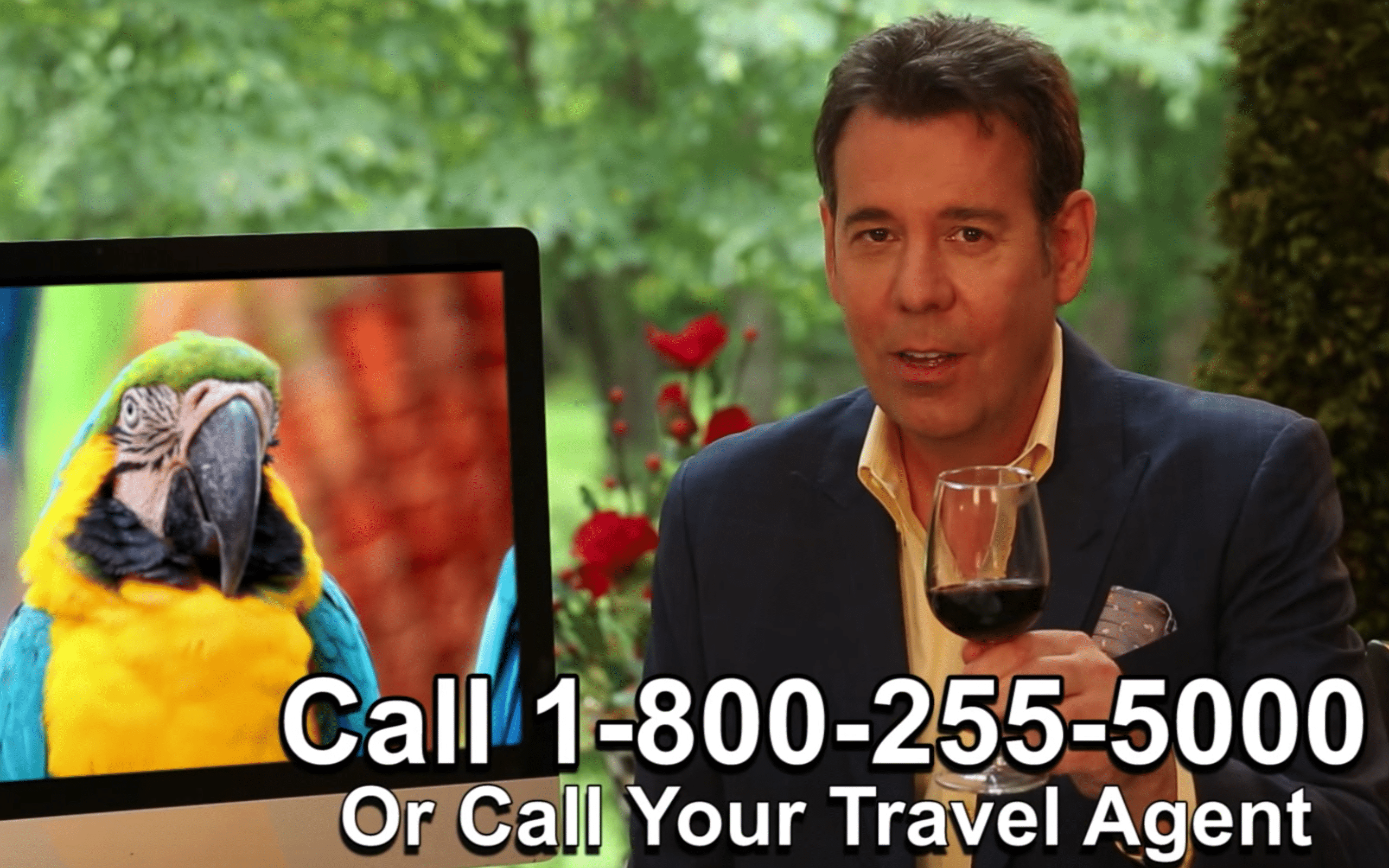 Man (Steve Perillo) wearing a navy sport coat and yellow button up, promoting the Perillo Tours Omnibus Commercial, cheers a glass of red wine to the viewers, words on screen; Call 1-800-255-5000 or Call Your Travel Agent (video production by Merging Media).