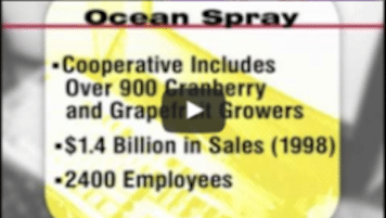 USWeb Ocean Spray Case Study Video thumbnail is text only, reads; Ocean Spray, Cooperative includes over 900 cranberry and grapefruit growers, 1.4 billion in sales (1998), 2400 employees.